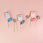 Garden + Gift Seed Planting Pops ~ Various Styles