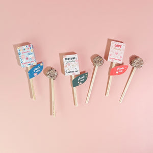 Garden + Gift Seed Planting Pops ~ Various Styles