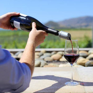 The Wave Wine Purifier & Aerator