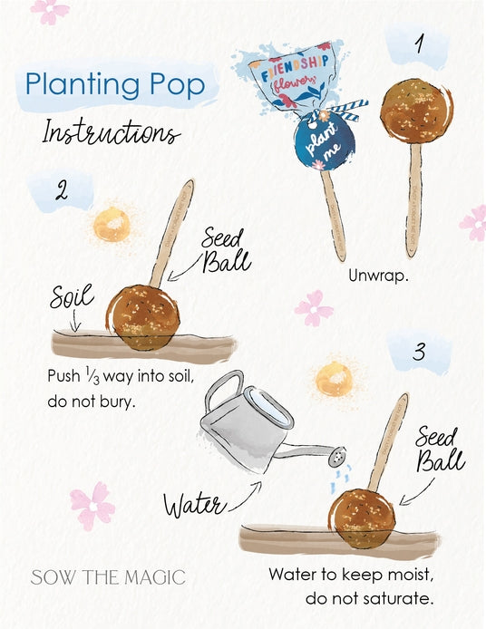 Garden + Gift Seed Planting Pops ~ Various Styles