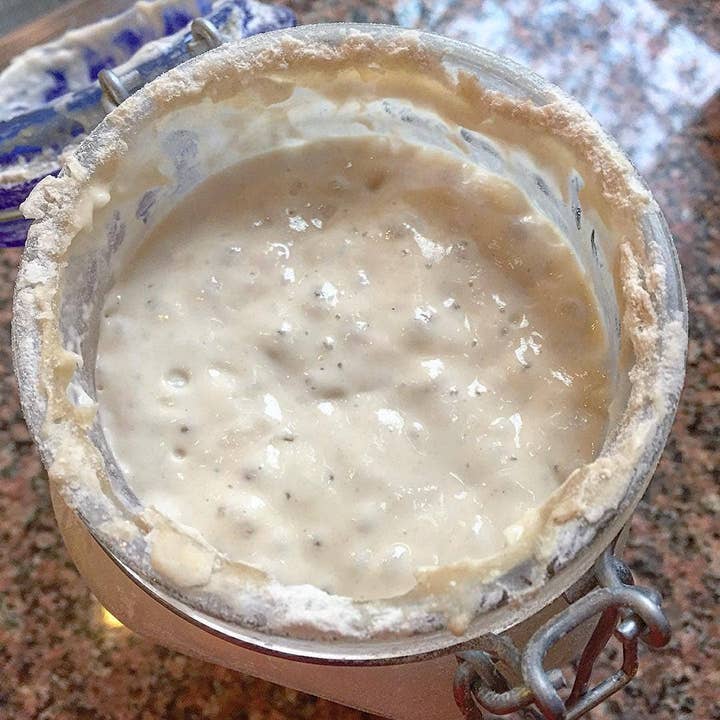 Breadtopia Sourdough Starter, Jar Liner and Baskets