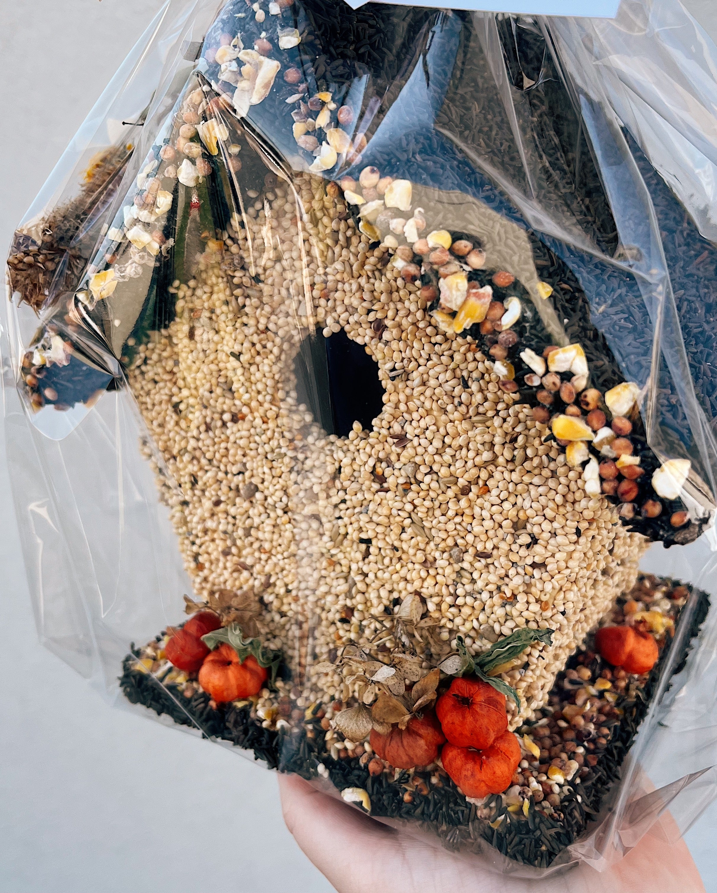 Handcrafted Bird Seed House ~ 2 Styles