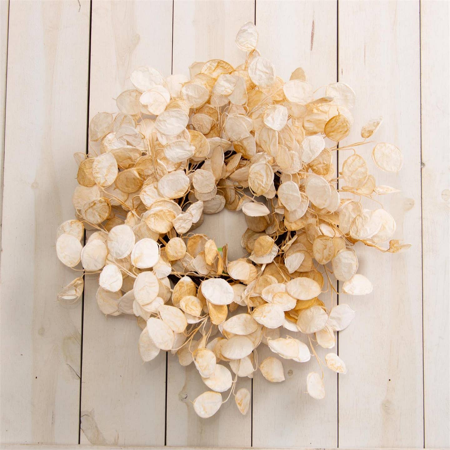 White Silver Dollar Eucalyptus Wreath