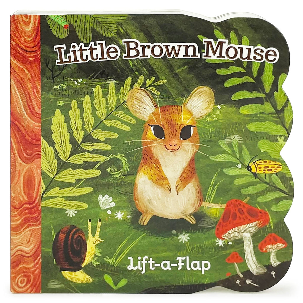 Lift-a-Flap Board Books ~ Various Styles