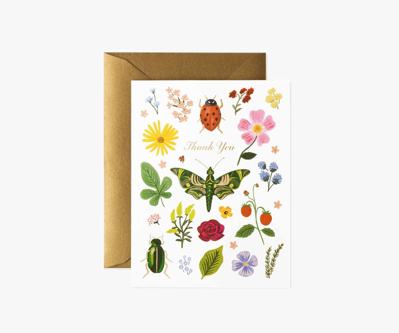 Rifle Paper Co. Curio Thank You Card