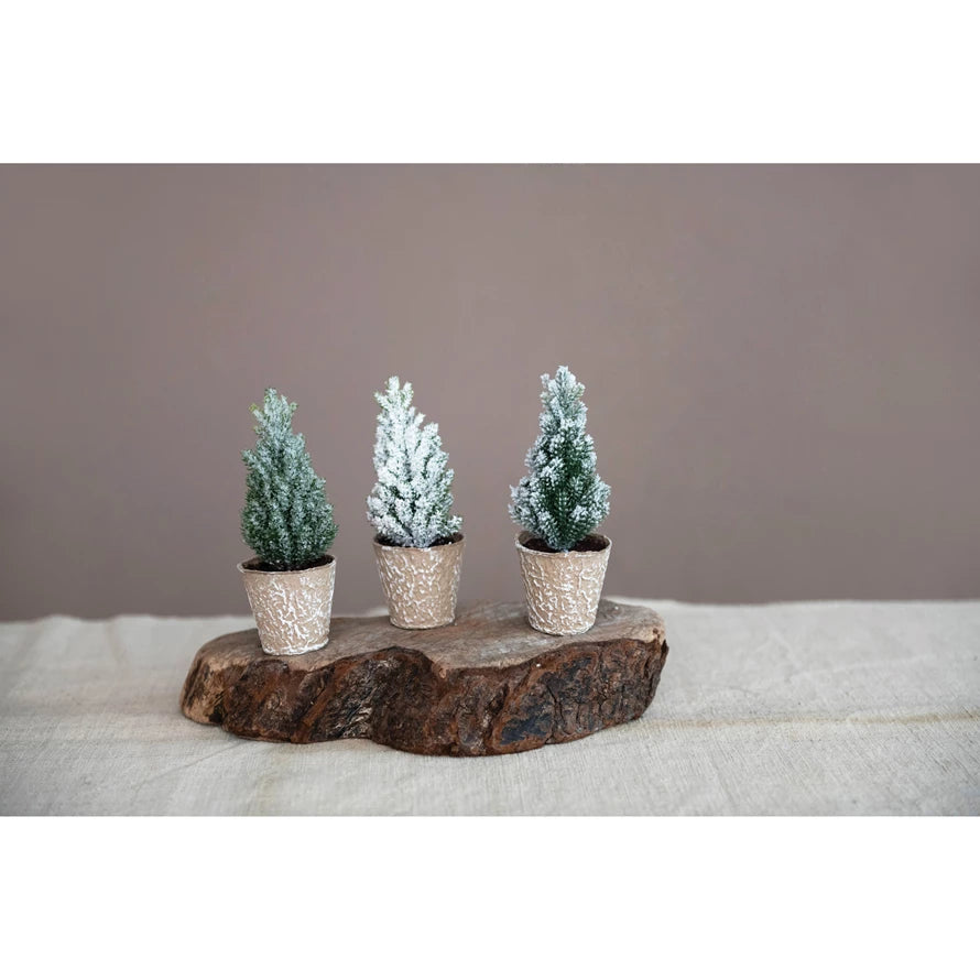 Snowy Pine Tree in Paper Pots