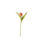 Real Touch Tulip Stem - 6 Colors