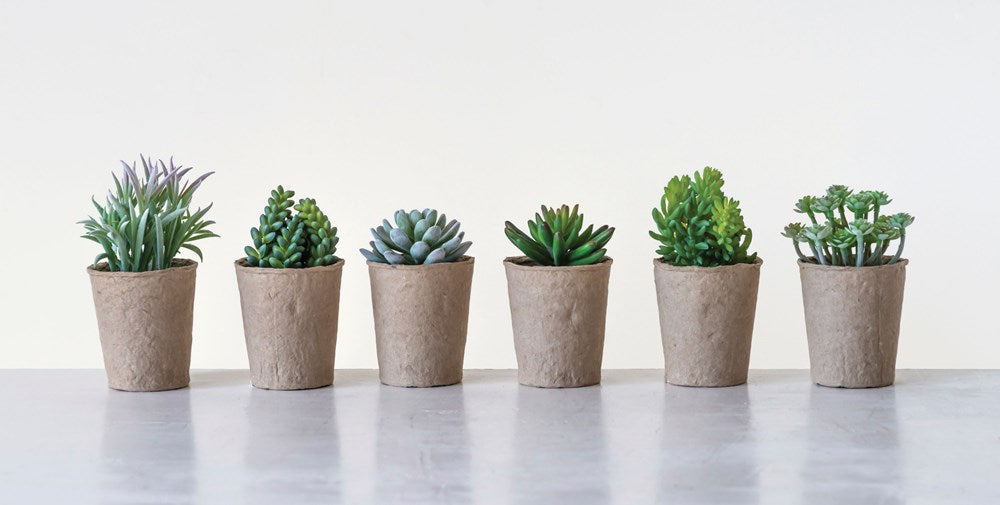 faux succulents in white pots Faux Succulent in Paper Pot