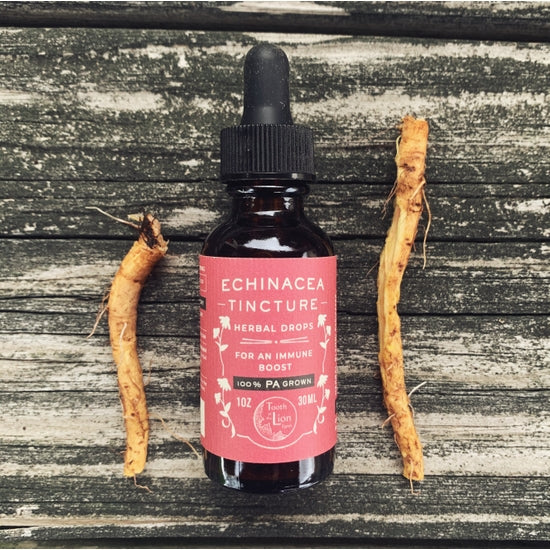 Tooth of the Lion ~ Tinctures & Elixirs