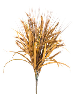 Wheat Bush ~ Brown