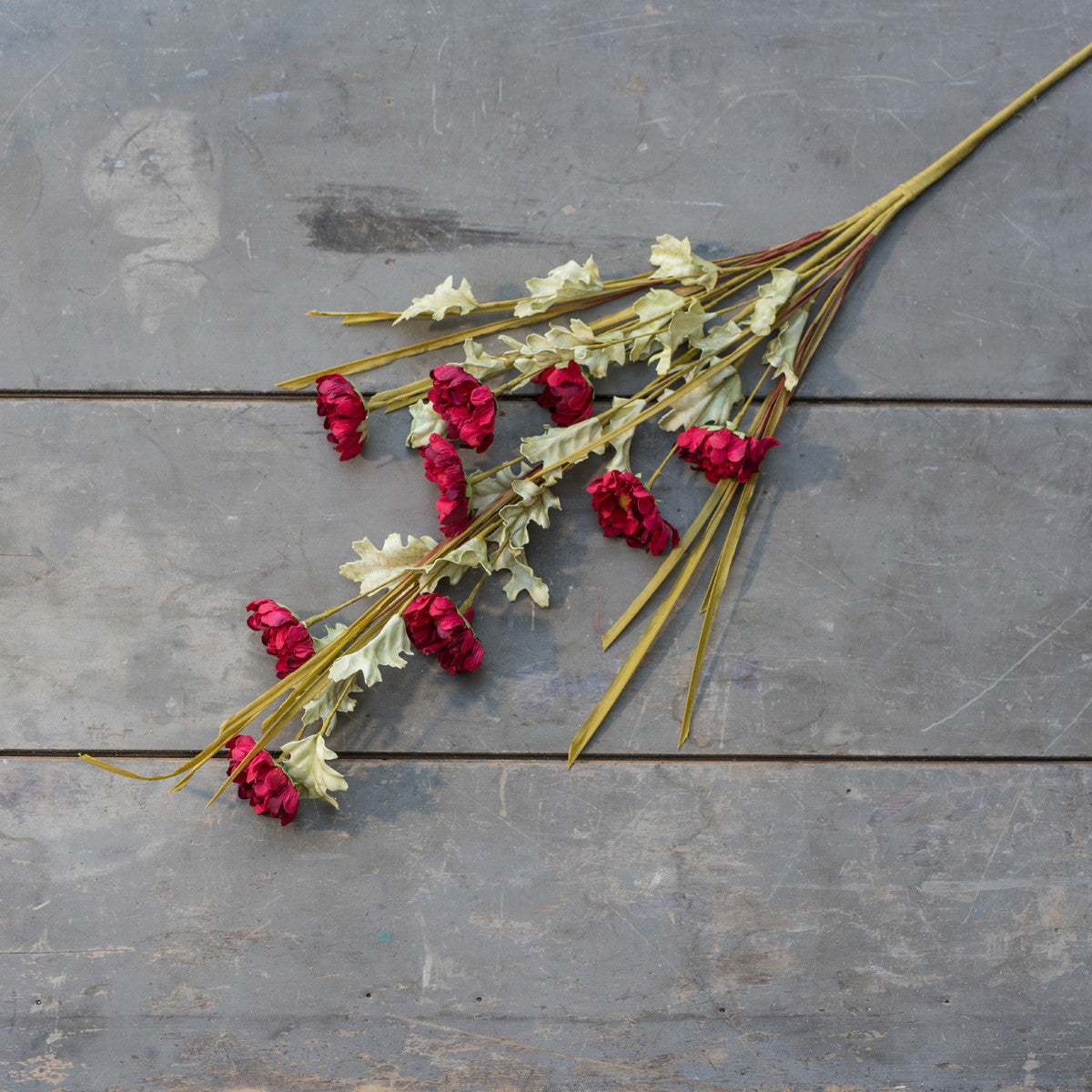 Red Zinnia Spray Stems