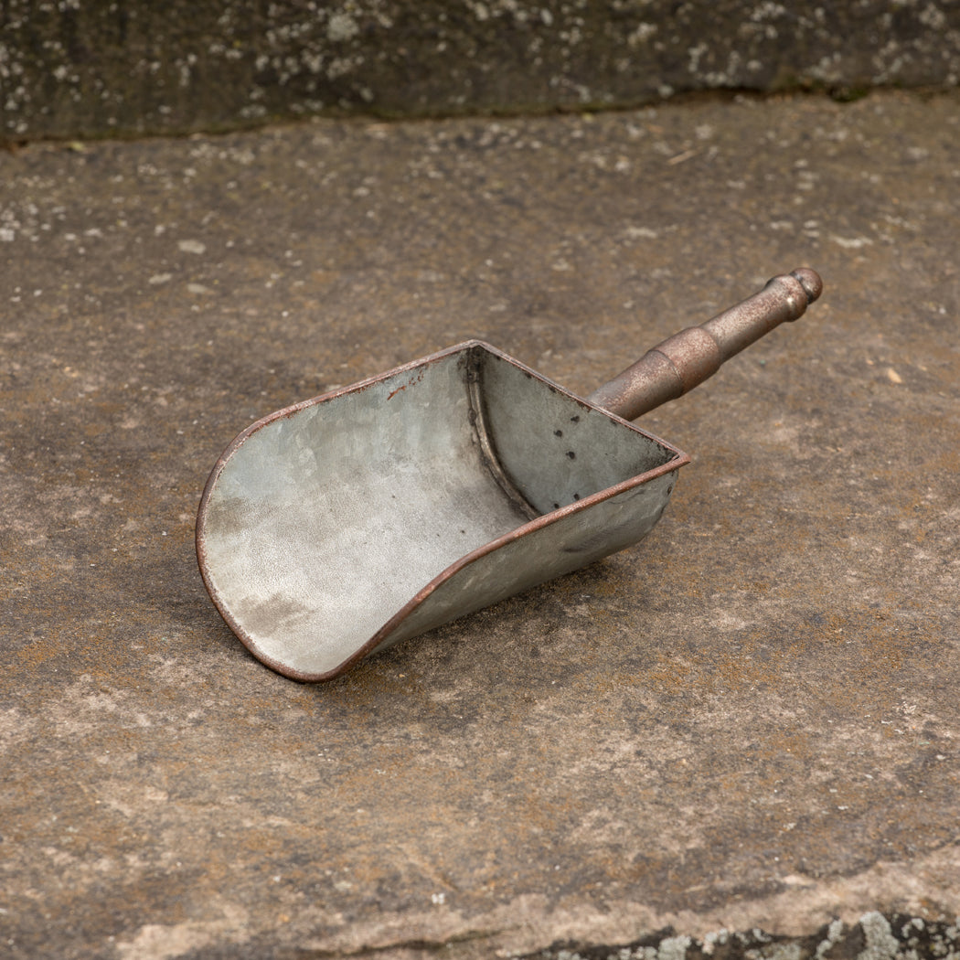 Metal Scoop with Metal Handle