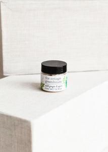 Wild Ginger and Agave Travel Size Fine Salt Scrub