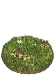 Moss Pad