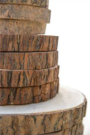 6-1/4" Round Paulownia Wood Slice - Fox & Fig