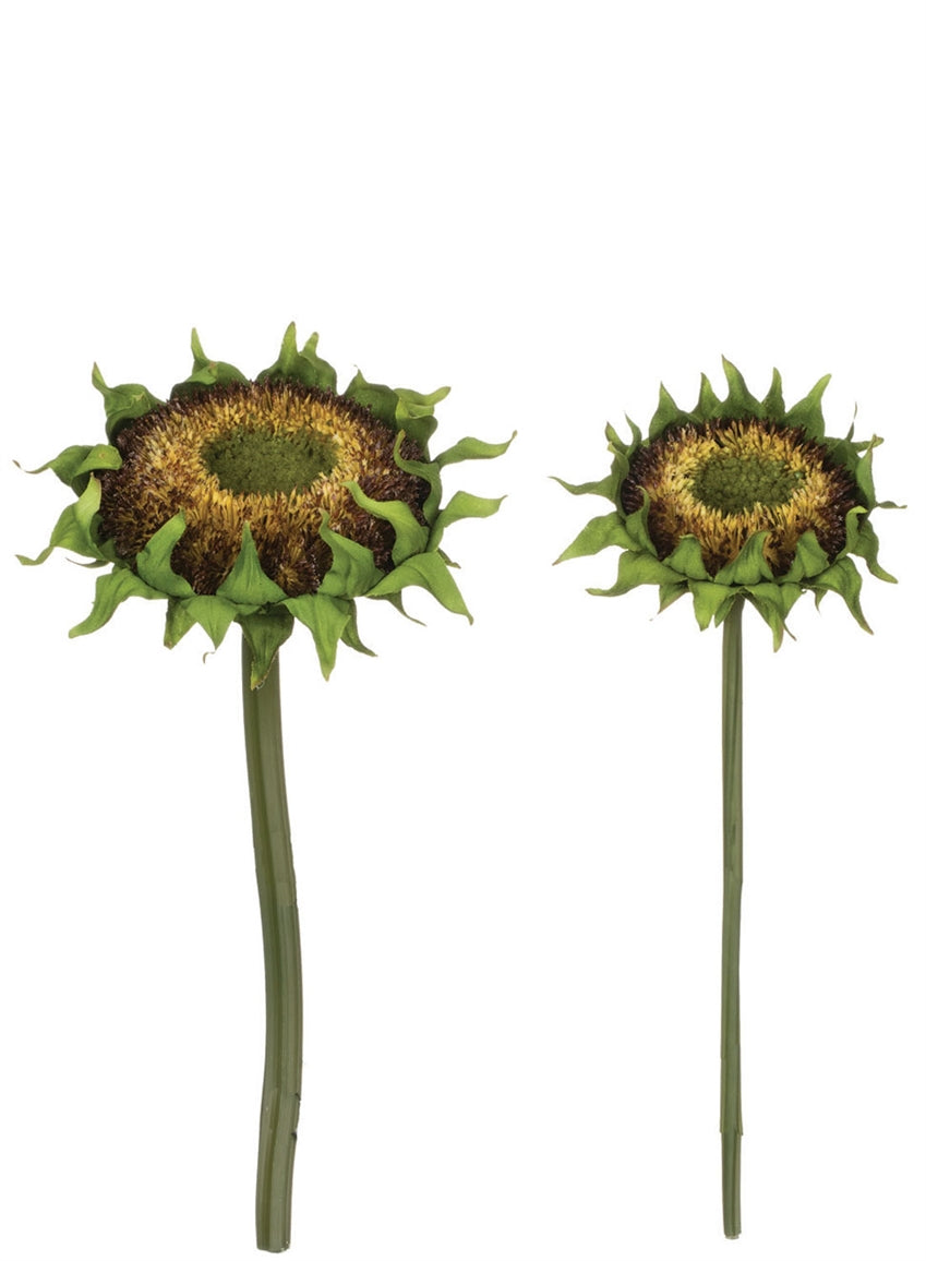 Sunflower Bud Stems ~ 2 Sizes