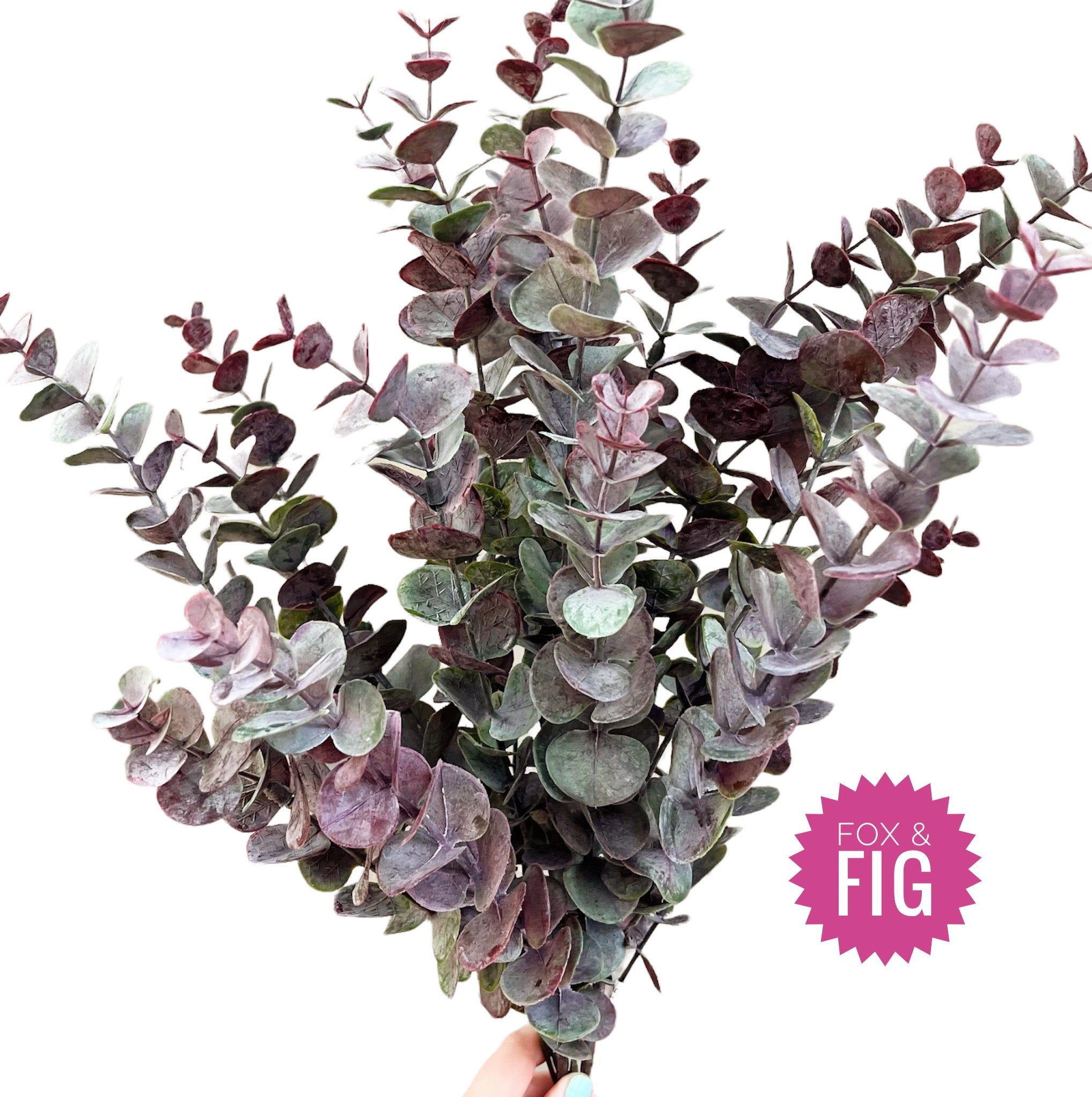 Burgundy Eucalyptus Bundle