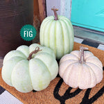 Faux Pumpkins ~ Various Sizes and Colors