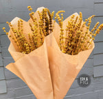 Dried Mustard Leonurus Bouquet