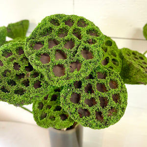 Lotus Pod Stem with Moss Coating