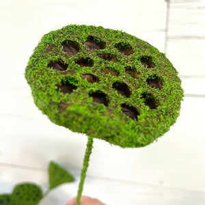 Lotus Pod Stem with Moss Coating