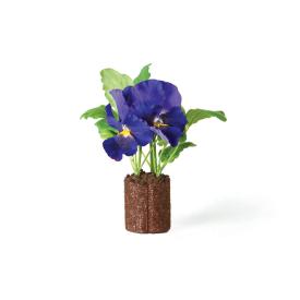 Pansy Realistic Drop In Plant ~ 3 Colors